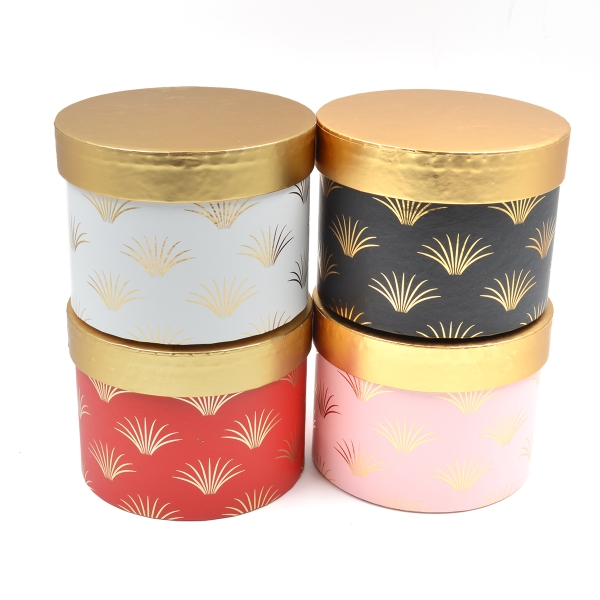 Set 4 cutii palm culori mixte AFO